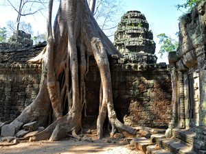 Świątynia Ta Prohm, Angkor