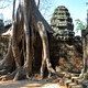 Świątynia Ta Prohm, Angkor