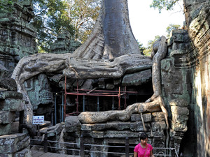 Świątynia Ta Prohm, Angkor