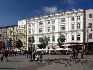 Rynek Główny i gołębie.