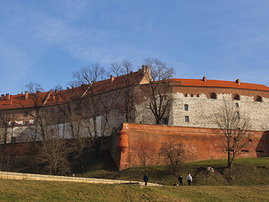 Wzgórze Wawelskie.