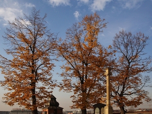 Jesienny Wawel.