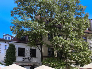 Restauracja "Ariel".