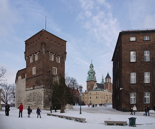 Zimowy Wawel.