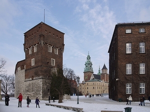 Zimowy Wawel.