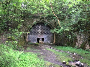 Tunel nad którym nadzór przejęła przyroda
