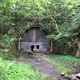 Tunel nad którym nadzór przejęła przyroda