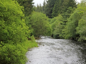 Rzeka Taff