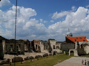Zamek w Janowcu.