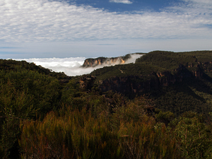 Blue Mountains