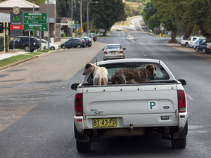 Gundagai 