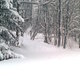 Zakopane