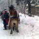 Zakopane