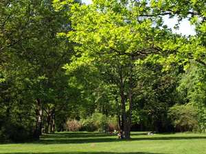Park Tiergarten