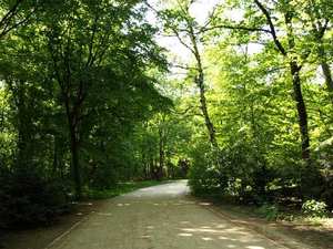 Park Tiergarten