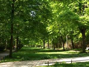 Park Tiergarten