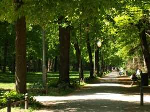 Park Tiergarten