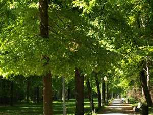 Park Tiergarten