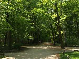 Park Tiergarten
