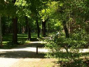 Park Tiergarten
