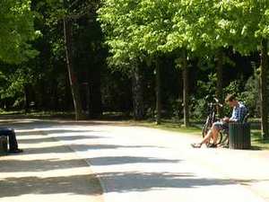 Park Tiergarten