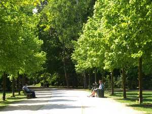 Park Tiergarten