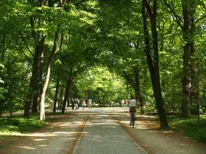 Park Tiergarten