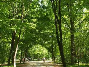 Park Tiergarten