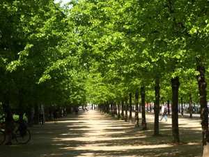 Park Tiergarten