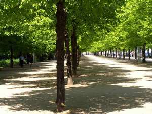 Park Tiergarten