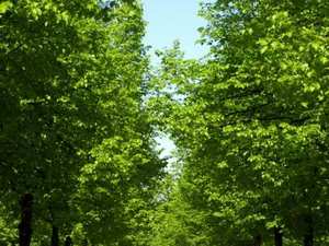 Park Tiergarten