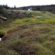 Park Narodowy Thingvellir