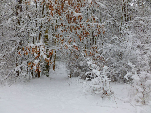 śnieżna ścieżka