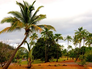 Kauai