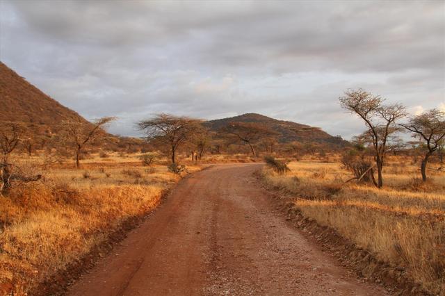 Poranny game drive
