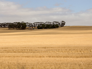 100 km  za Adelaide