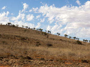 Zbliżamy się do Broken Hill