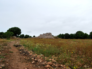 Capocorb Vell, Majorka
