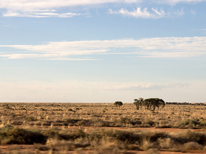 Stepy za Broken Hill