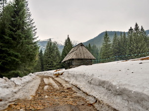 Polana Chochołowska