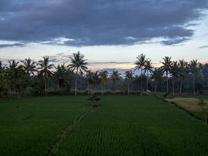 Pola centralnego Lombok