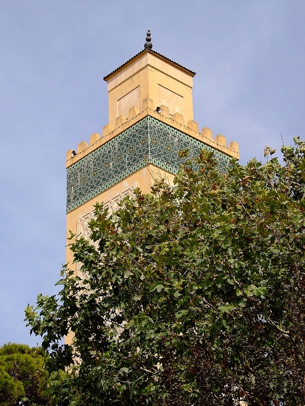 Minaret głównego meczetu w Azrou