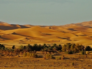 Erg Chebbi