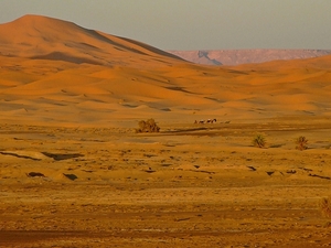 Erg Chebbi