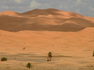 Erg Chebbi