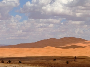 Erg Chebbi