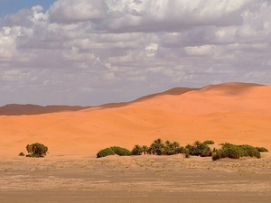 Erg Chebbi