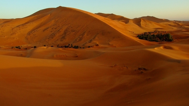 Poranek na Saharze