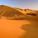 Poranek na Saharze