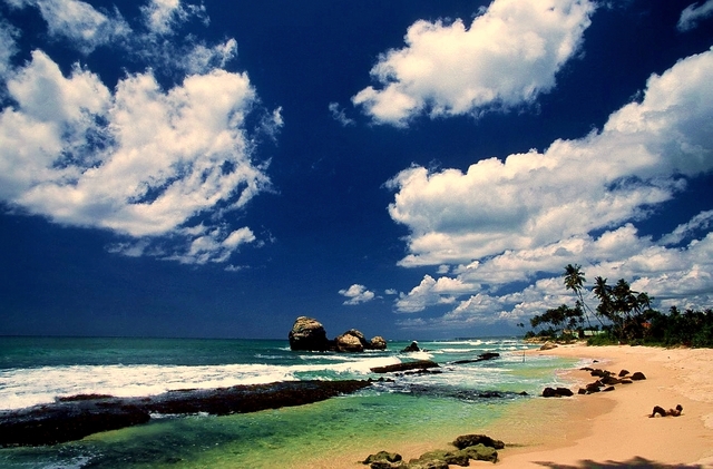 Sri Lanka 5